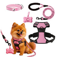Set Arnes Correa Collar porta gps + Regalo
