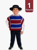Poncho Manta Huaso Cueca Fiestas Patrias Niños Traje Tipico