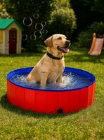 Piscina Bañera Portátil Plegable Para Perros 80x20cm