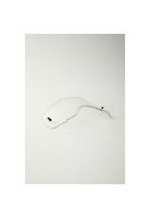 Repuesto Antiparra Niño Airspace/Main Clear Fox