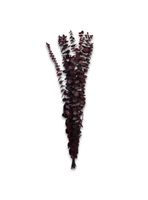 Rama Decorativa Natural Burdeo