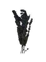 Rama Decorativa Natural