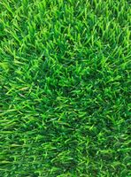 Pasto Sintético Elite Turf 30 mm 2x5 Metros