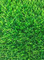 Pasto Sintético Luxury Turf 20 mm 2x5 Metros