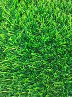 Pasto Sintético Luxury Turf 20 mm 2x5 Metros