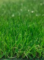 Pasto Sintético  Premier Turf 25 mm 2x5 Metros