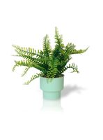 Planta Artificial Helecho 22x10 cm