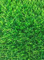 Pasto Sintético  Luxury Turf 20 mm