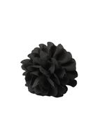 Pinche Isa Negro Humana