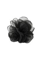 Pinche Romi Negro Humana