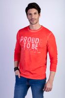 Polera Básica Manga Larga Lavada Michigan