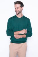 Sweater Lyon Green