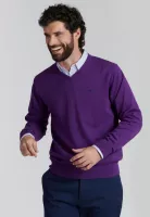 Sweater V Neck Solido F Smart Casual Dk Violet