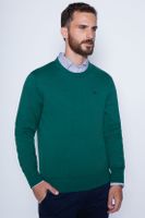 Sweater Round Neck Paris Green