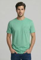 Polera Boston Mint