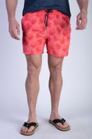 Traje De Baño Hamilton Coral