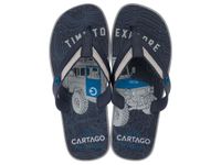 Sandalia Hombre Gris/Azul Dakar Cartago