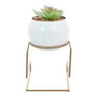 Suculenta Decorativa Bola Pedestal