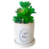 Planta Decorativa Good To Be Home Maceta Blanca