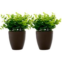 Set de Plantas Decorativa Artificial Maceta Cafe