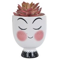 Suculenta Decorativa Akiko Roja