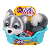 Little Live Pets Cachorro Mini Husky Aurora