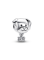 Charm Perro Mascota y Hueso