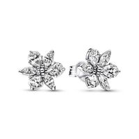 Aretes de Tuerca en Plata Brillante Racimo Herbario