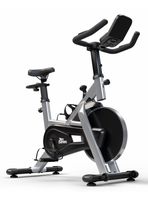 Spinning X3000 Silver Ten Series