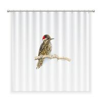 CORTINA BAÑO ALGODÓN CARPINTERITO