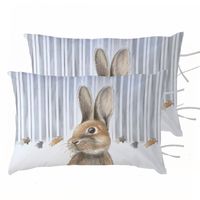 PACK 2 FUNDAS ALMOHADA PEDRO RABBIT 50X70