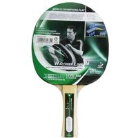 Paleta Ping Pong Schildkrot Waldner 400