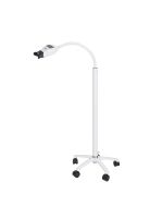 Lámpara Aceleradora De Blanqueamiento Dental De Pedestal