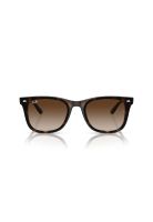 Ray-Ban Lentes de Sol RB4420 710/13 65