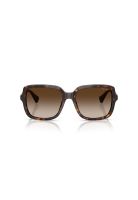 Ralph Lentes de Sol Degradados RA5333U 500313 56