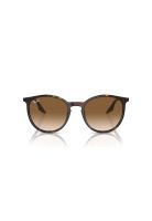 Ray-Ban Lentes de Sol RB2204 902/51 54