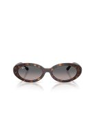 Ray-Ban Lentes de Sol The Bold Polarizados Degradados RB2223 902/M3 54
