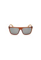 Lentes de Sol Marron Polarizado Timberland TB927948R59