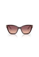 Emporio Armani Lentes de Sol Degradados EA4251 62658D 54