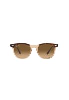 Ray-Ban Lentes de Sol Hawkeye Polarizados RB2298 1292M2 52