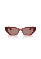Lentes de Sol Zena Marrón Ray-Ban RB4430680973