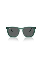 Ray-Ban Lentes de Sol RB2210 6615B1 53