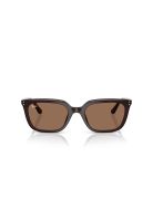 Ray-Ban Lentes de Sol RB4439D 623173 54