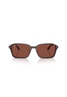 Ray-Ban Lentes de Sol Raimond RB2231 1416C5 58