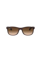 Ray-Ban Lentes de Sol Andy Degradados RB4202 607313 55