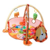 Gimnasio Centro De Juegos Para Bebé Y Piscina Pelotas Leon