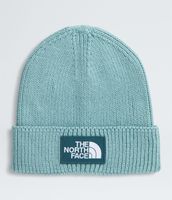Gorro Tnf Logo-Box Cuffed Beanie