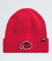 Gorro Tnf LogoBox Cuffed Beanie.
