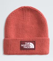 Gorro Tnf Logo Box Cuffed-Beanie.