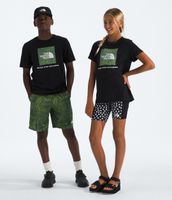 Polera The North Face Niñas y Niños Box Nse S/S Negro